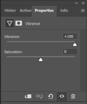 Vibrance vs Saturation in Photography