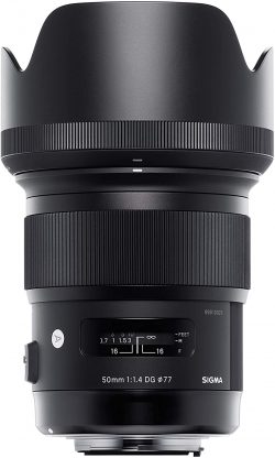 what is the best portrait lens for Nikon cameras