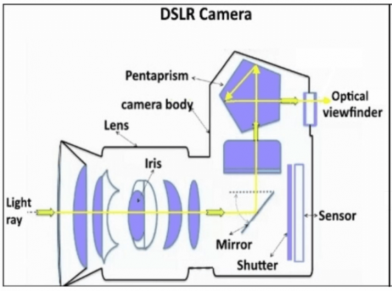 Viewfinder vs LCD Display - Ehab Photography