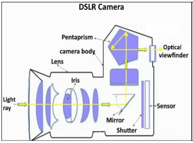 Viewfinder vs LCD Display