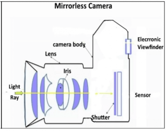 Viewfinder vs LCD Display - Ehab Photography