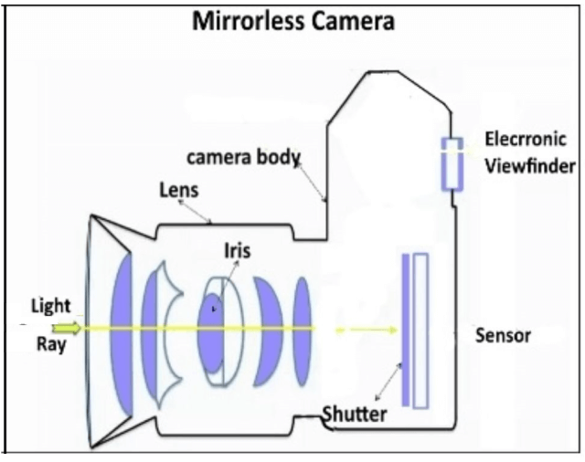 viewfinder vs lcd