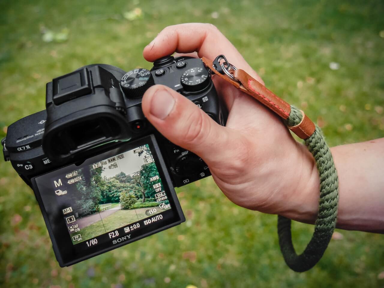 Viewfinder vs LCD Display