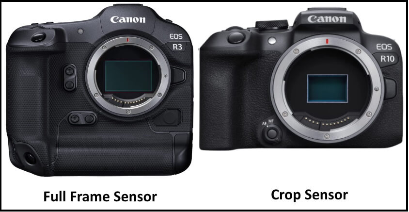 Difference Between a Full Frame and a Crop Sensor