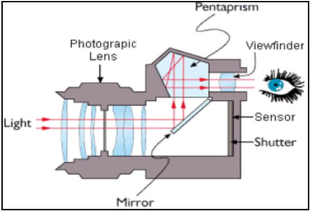 Smartphone Camera VS DSLR Camera