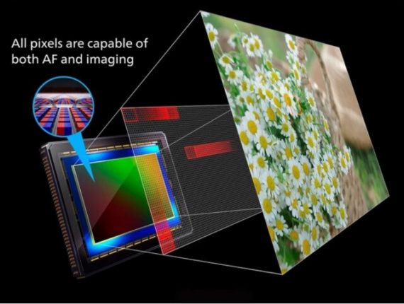 Canon autofocus systems Explained - Ehab Photography