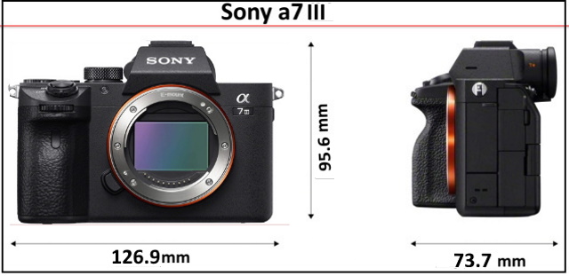 Sony A7 III dimensions