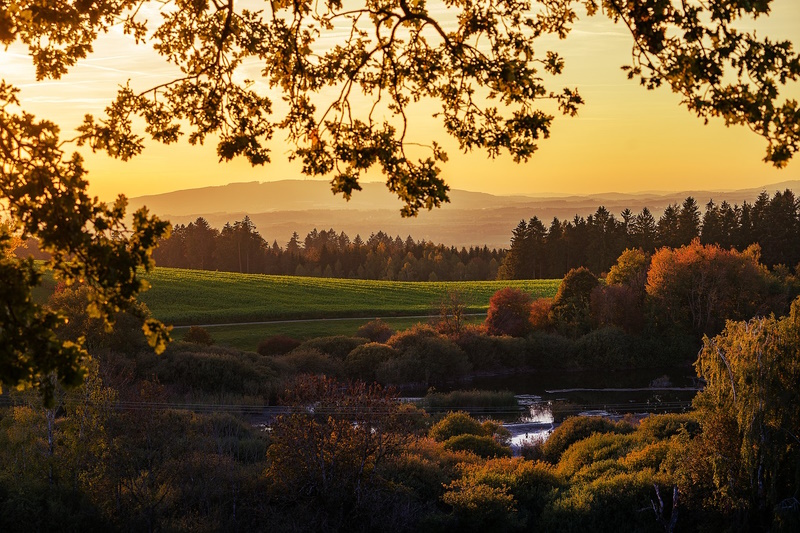 The landscape of natural green area at sunrise