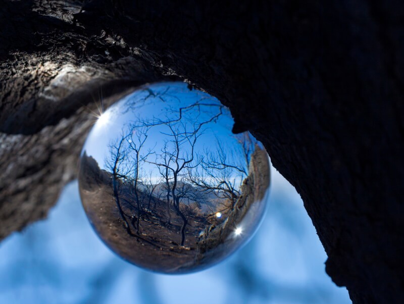 Crystal ball photo showing landscape background 