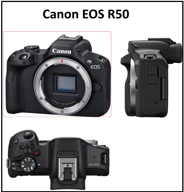 Canon EOS R50