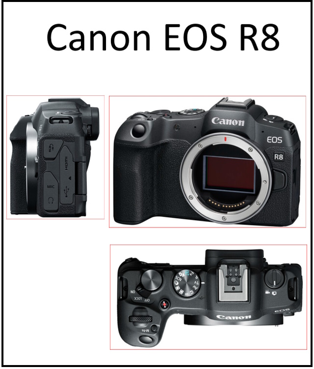 Canon EOS R8