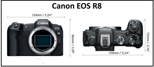 Dimensions of Canon EOS R8