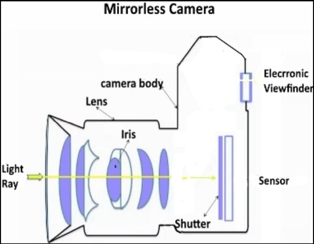 A diagram of Nikon Mirrorless Camera