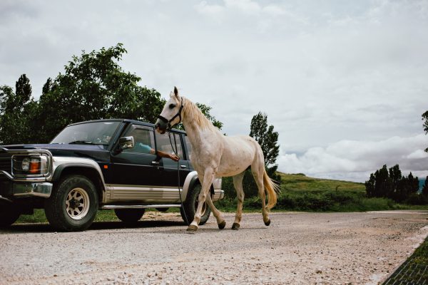 6 COOL CAR PHOTOSHOOT IDEAS