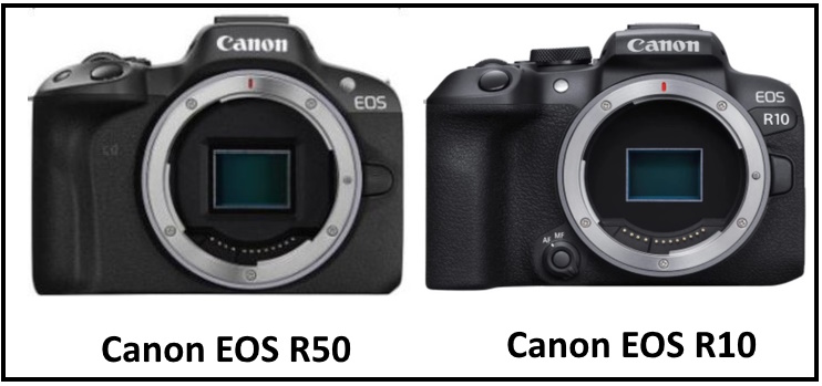 Canon EOS R50 Vs Canon EOS R10