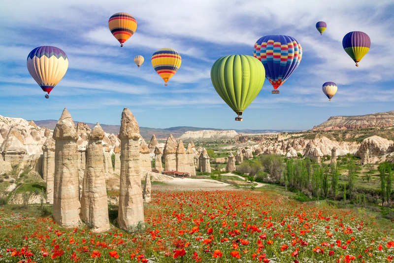 Hot air balloons flying over a field of poppies and rock landscape in Love valley at Cappadocia, Turkey