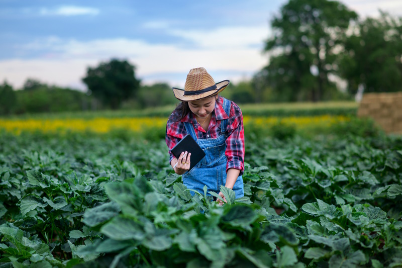What is Agricultural Photography?- The Ultimate Guide