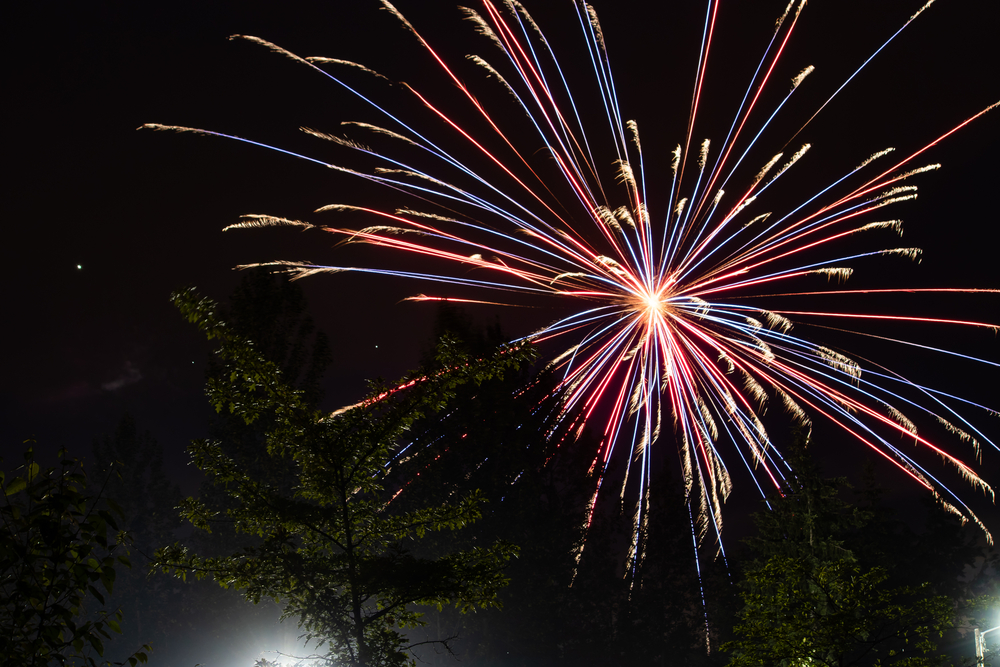 firworks in a dark sky to celebrate 4th of july in washington