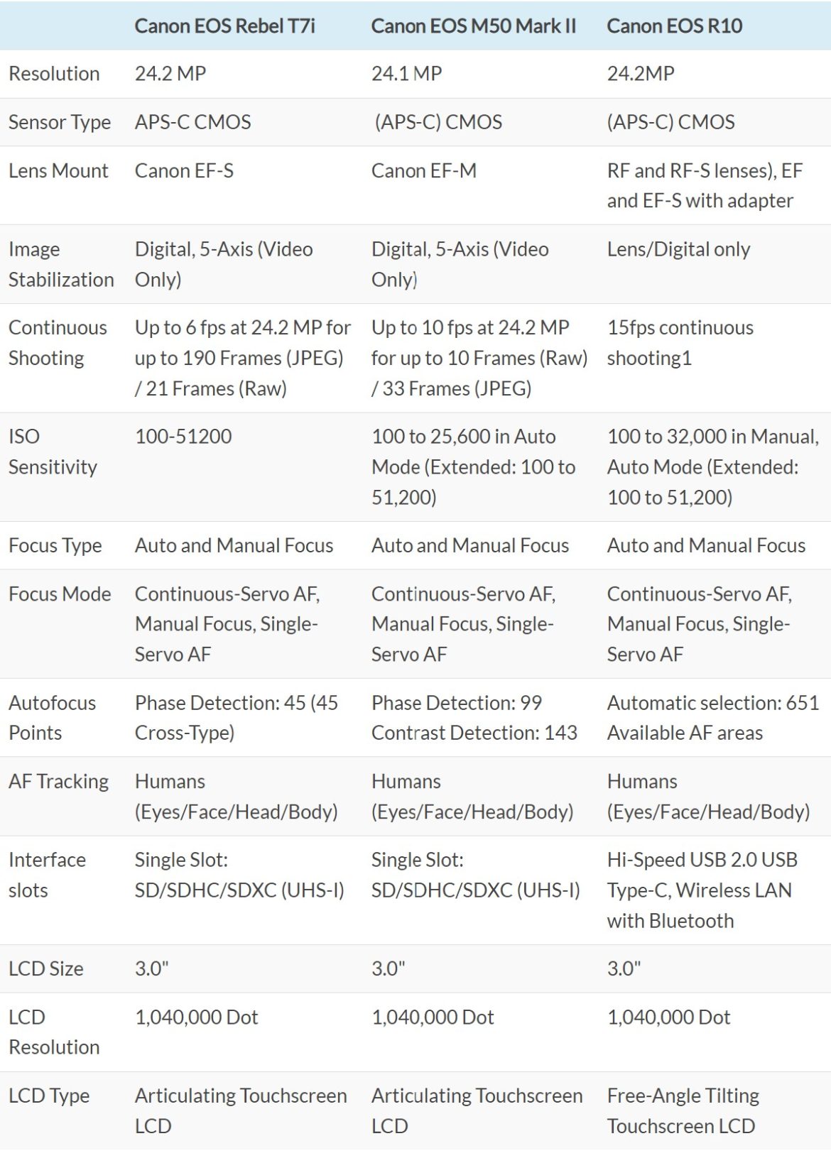 What is the Best Canon Camera for Wedding Photography?