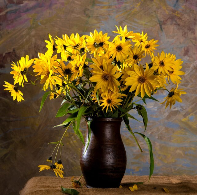 Creative Still Life Photography Ideas- Tips & Examples - Elegant flowers in a vase