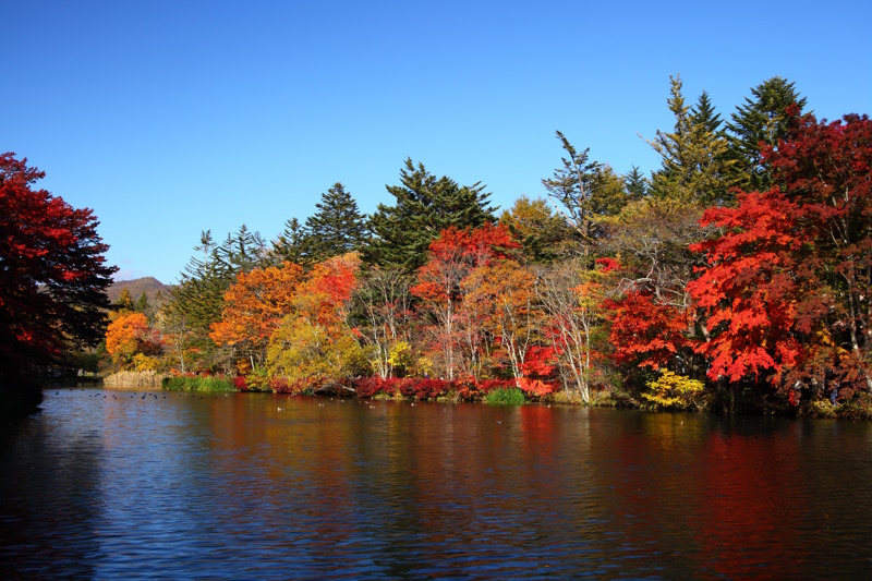 Kumoba pond with red leaves in Karuizawa, Nagano, Japan
