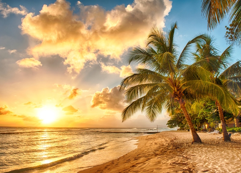 Beach Photography Ideas - Beautiful sunset over the sea with a view at palms on the white beach on a Caribbean island of Barbados