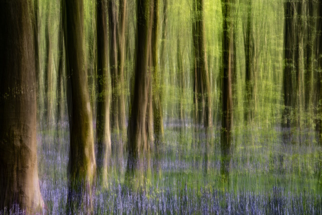 Intentional Camera Movement in Photography