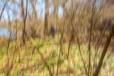 Colorful landscape graphic resource background. ICM Intentional camera movement blurred defocused background with a solitary hiker soft lines and welcoming nature feeling with bright colors and trees in forest landscape.