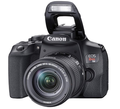 Best Canon Camera for Beginners