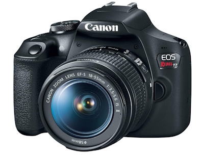 Best Canon Camera for Beginners
