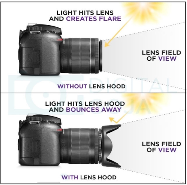 How to Use a Lens Hood