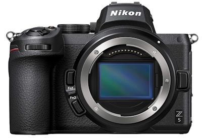 Best Low Light Nikon Camera