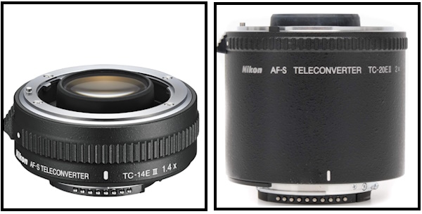 Teleconverters: Extend Your Focal Length Economically