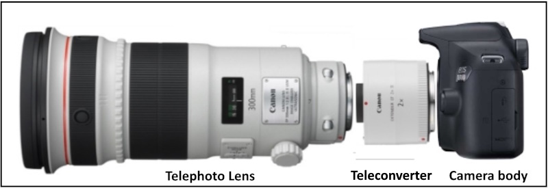 Teleconverters: Extend Your Focal Length Economically