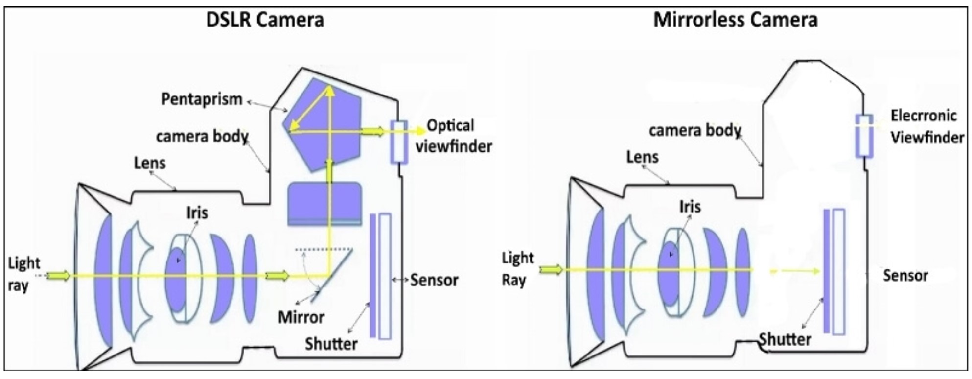 APS-C vs Full-Frame Sensor: Your Ultimate Guide