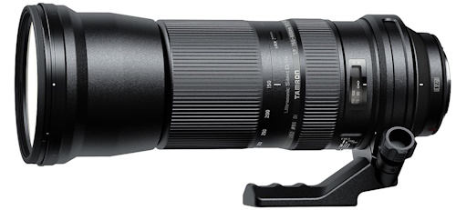 The Best Lens for Wildlife Photography