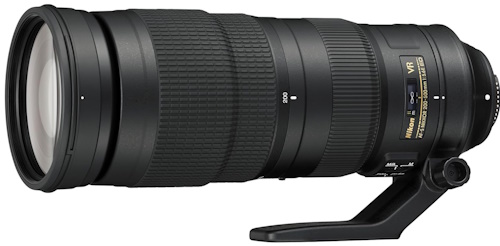 The Best Lens for Wildlife Photography