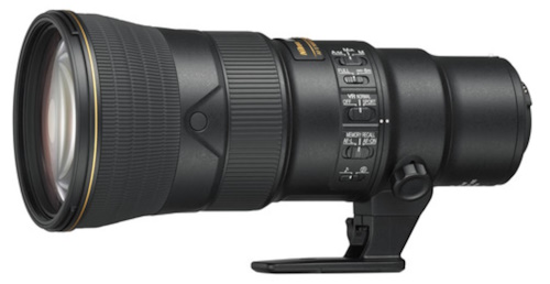 The Best Lens for Wildlife Photography